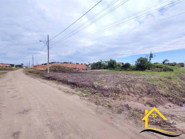 Terreno para Venda em Balneário Barra do Sul - 4