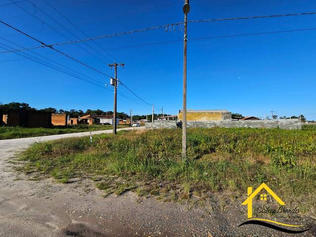 Terreno para Venda em Balneário Barra do Sul - 4