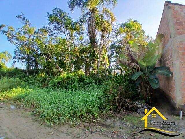 #0582 - Terreno para Venda em Balneário Barra do Sul - SC - 1