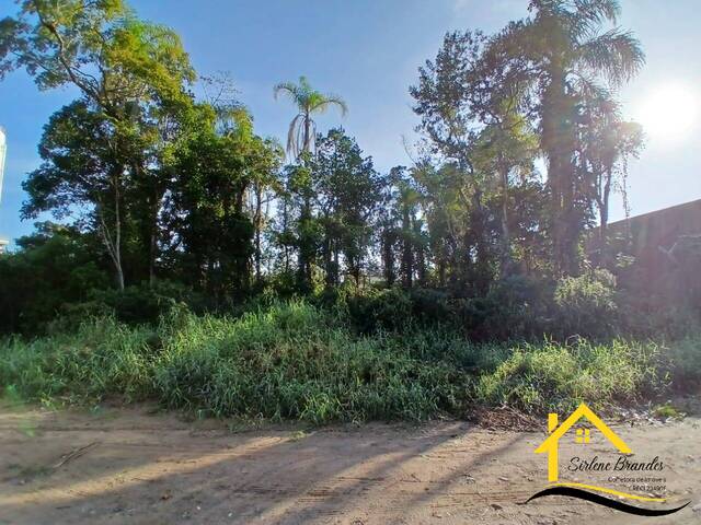 #0582 - Terreno para Venda em Balneário Barra do Sul - SC - 2