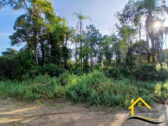 #0583 - Terreno para Venda em Balneário Barra do Sul - SC - 1
