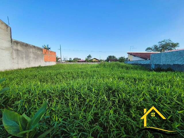 #0584 - Terreno para Venda em Balneário Barra do Sul - SC - 3