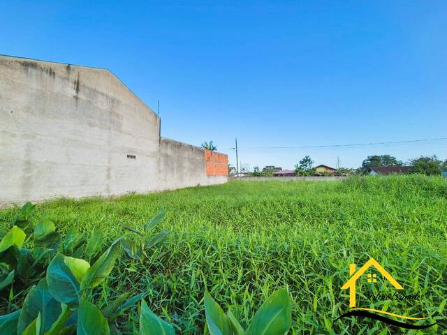 #0585 - Terreno para Venda em Balneário Barra do Sul - SC - 1