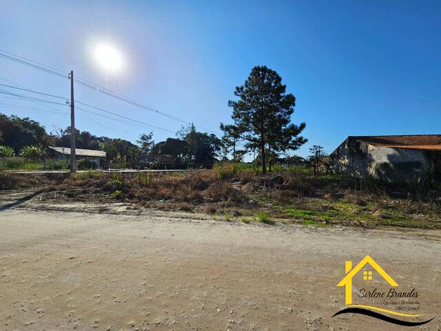 Terreno para Venda em Balneário Barra do Sul - 4