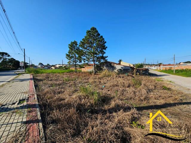 Terreno para Venda em Balneário Barra do Sul - 5