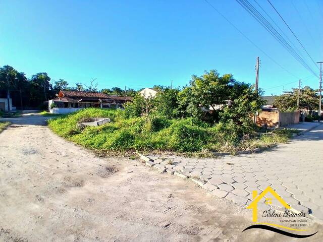 #0586 - Terreno para Venda em Balneário Barra do Sul - SC - 1