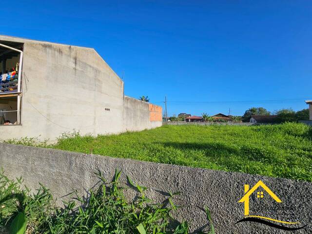 #0585 - Terreno para Venda em Balneário Barra do Sul - SC - 2