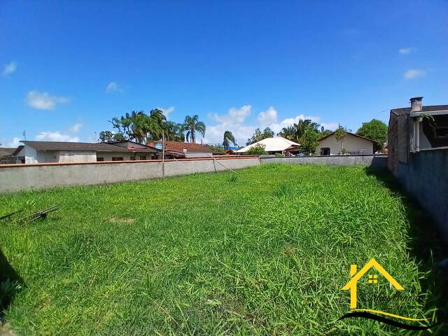 #0631 - Terreno para Venda em Balneário Barra do Sul - SC - 3