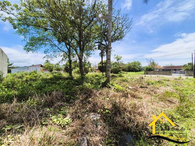 Terreno para Venda em Balneário Barra do Sul - 4
