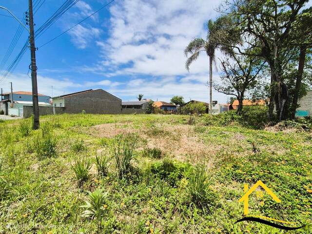 #0637 - Terreno para Venda em Balneário Barra do Sul - SC - 3