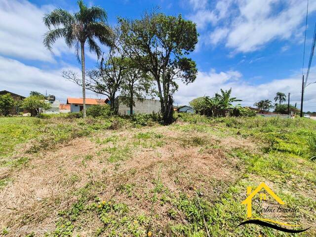#0637 - Terreno para Venda em Balneário Barra do Sul - SC - 1