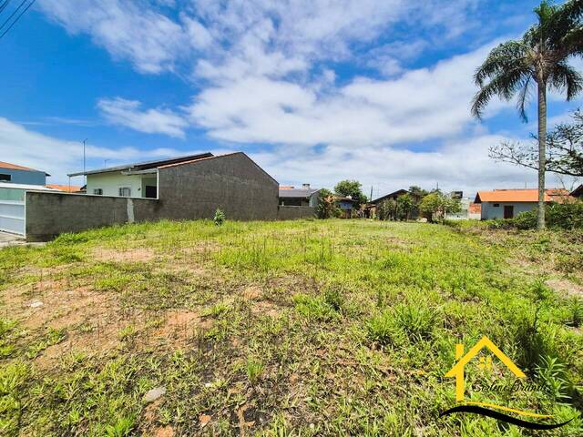 #0636 - Terreno para Venda em Balneário Barra do Sul - SC - 1