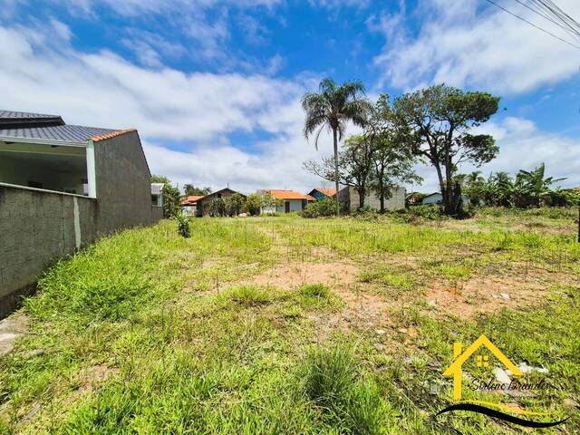 #0636 - Terreno para Venda em Balneário Barra do Sul - SC - 3