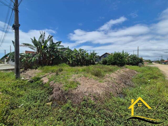 #0644 - Terreno para Venda em Balneário Barra do Sul - SC - 1