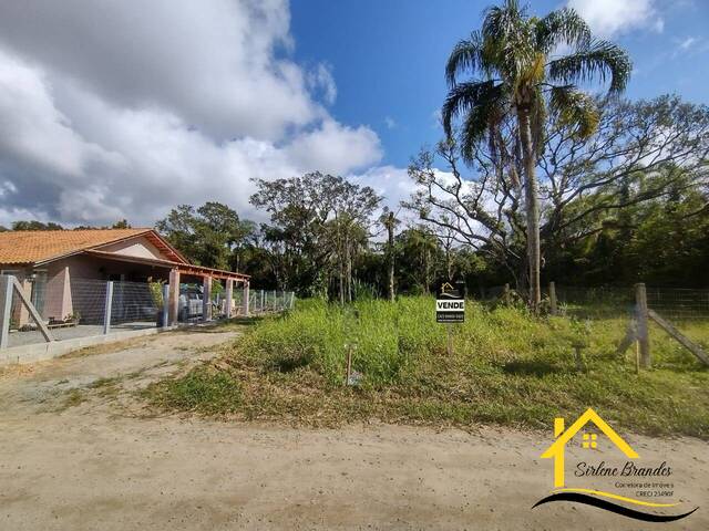 #0645 - Terreno para Venda em Balneário Barra do Sul - SC - 2
