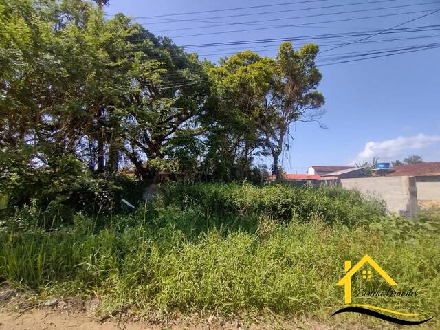#0652 - Área para Venda em Balneário Barra do Sul - SC - 3