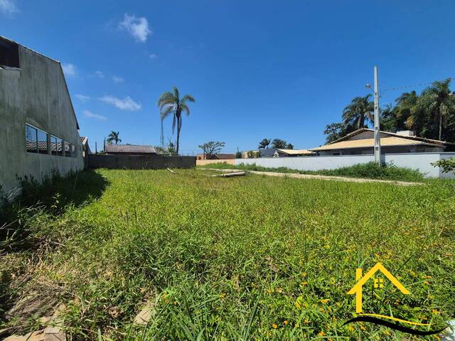 #0653 - Terreno para Venda em Balneário Barra do Sul - SC - 3