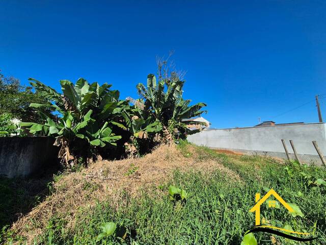 #0715 - Terreno para Venda em Balneário Barra do Sul - SC - 2
