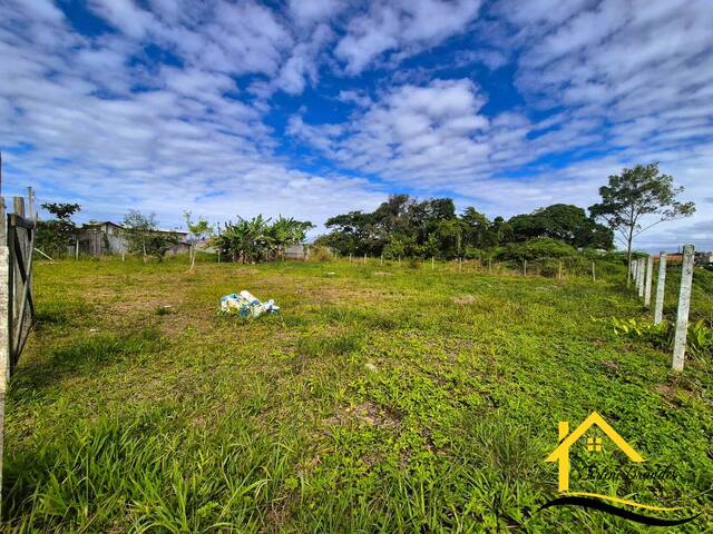 Terreno para Venda em Balneário Barra do Sul - 2