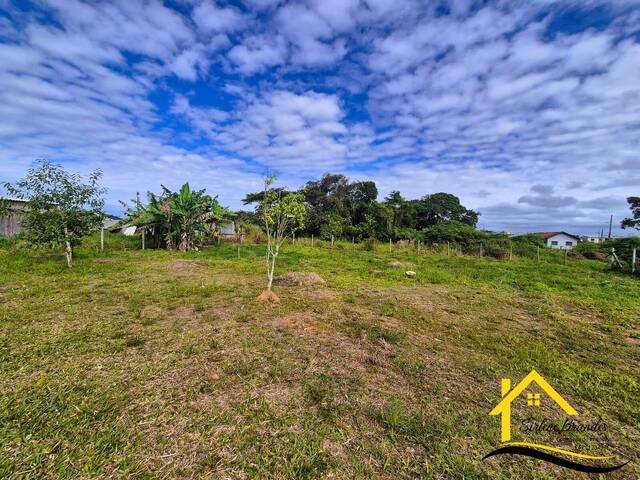 Terreno para Venda em Balneário Barra do Sul - 3