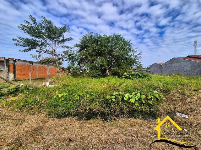 Área para Venda em Balneário Barra do Sul - 2